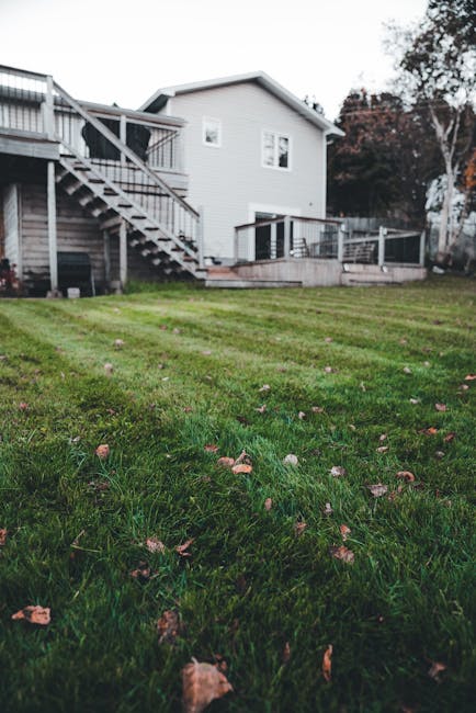 Photo by Erik Mclean on Pexels