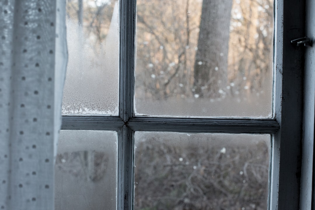 Photo by Ozgu Ozden on Unsplash